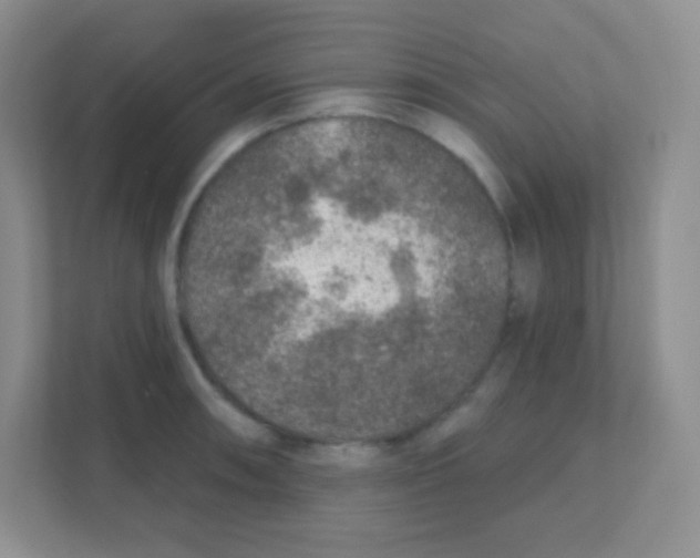 X0000111381090200907311048