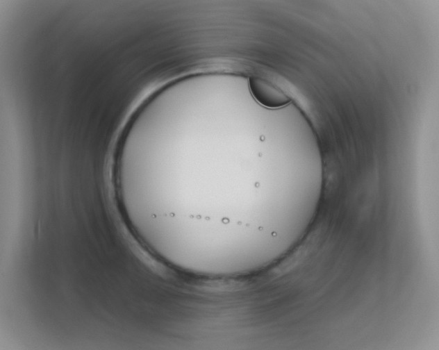 X0000111381091200907311048