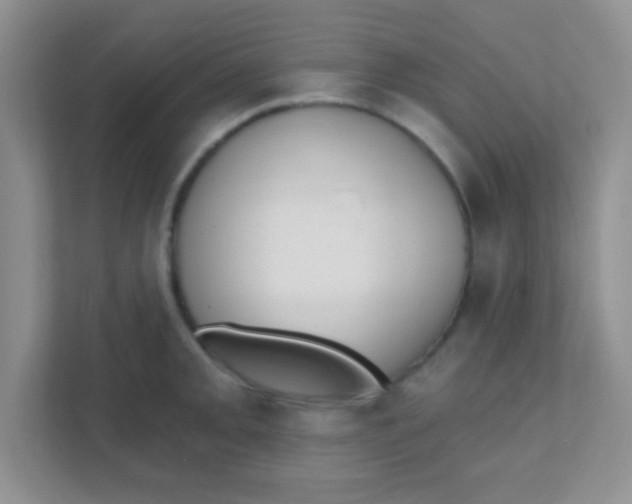 X0000111381093200907311048