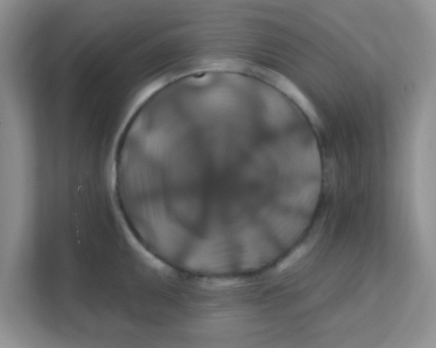 X0000111381095200907311048