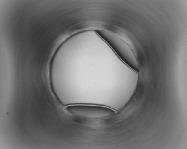 X0000111381096200907311048