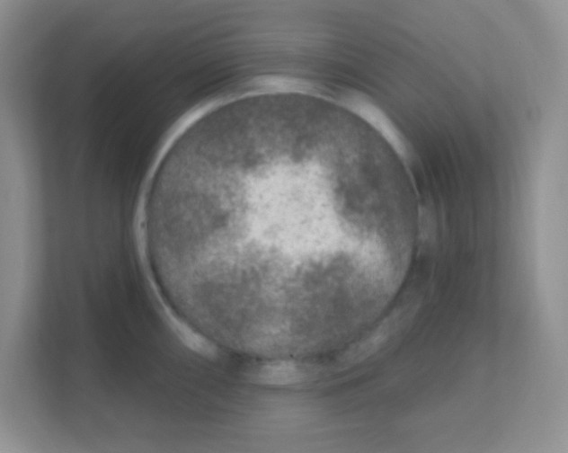 X0000111381098200907311048