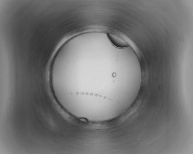 X0000111381099200907311048