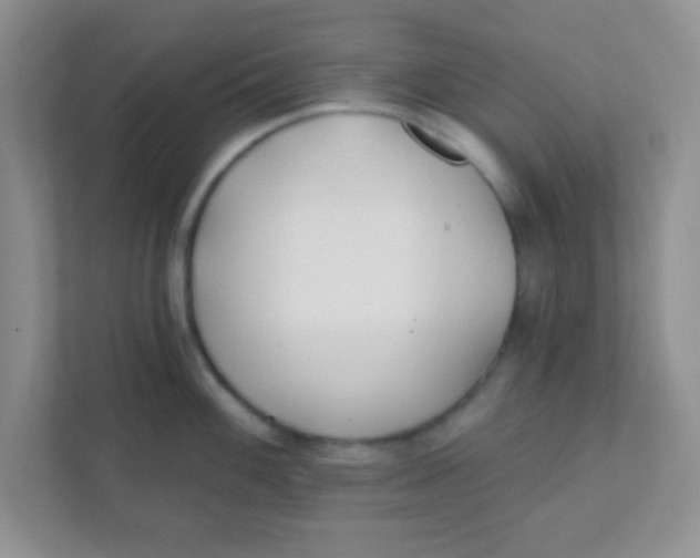 X0000111381100200907311048