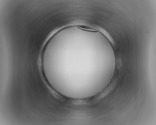 X0000111381101200907311048