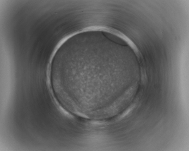 X0000111381102200907311048