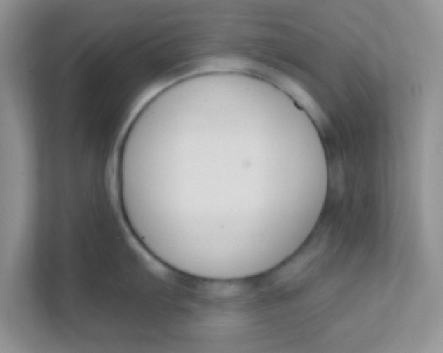 X0000111381103200907311048