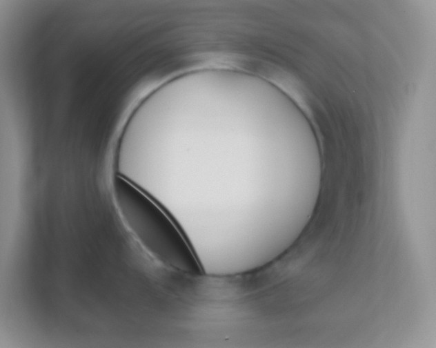 X0000111381104200907311048