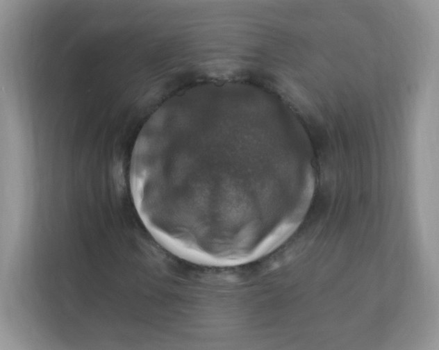 X0000111381106200907311048