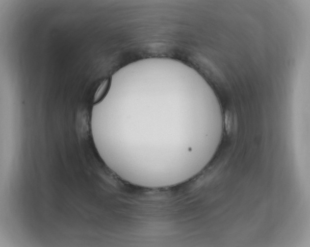 X0000111381107200907311048