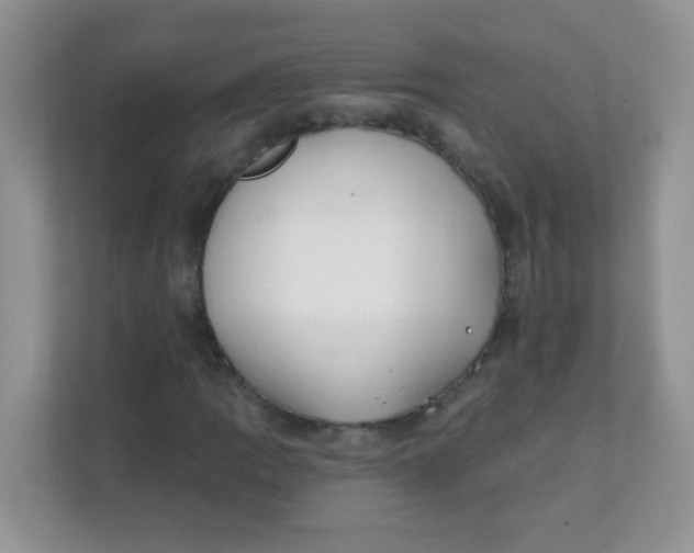 X0000111381109200907311048