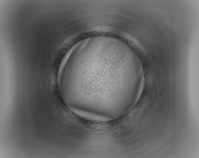 X0000111381110200907311048