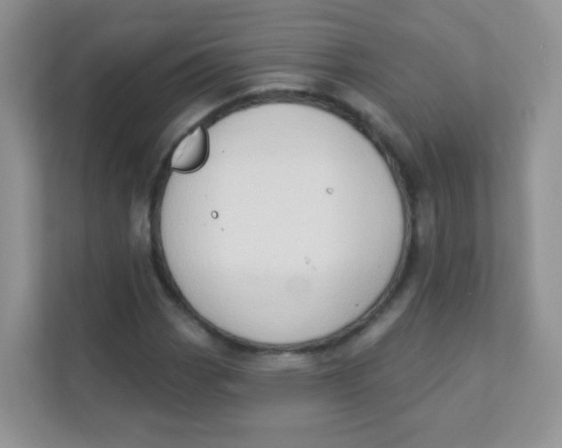 X0000111381113200907311048