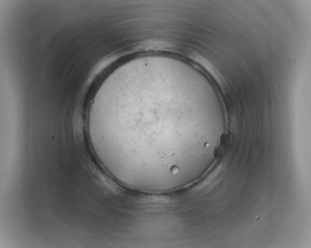 X0000111381115200907311048