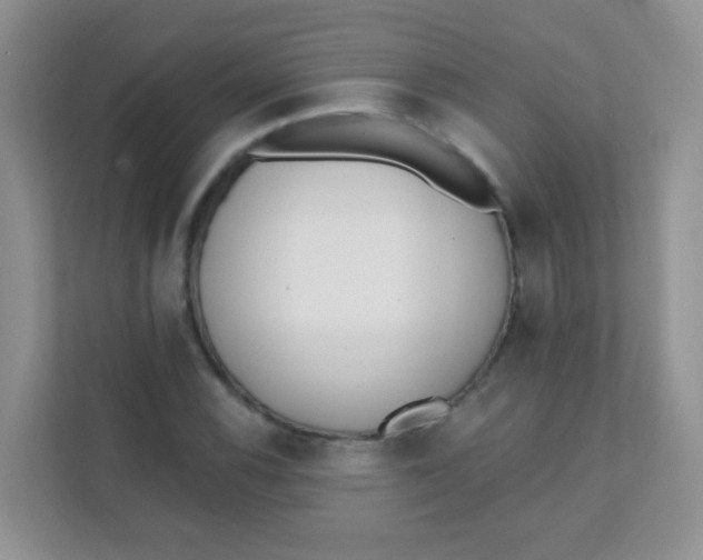 X0000111381116200907311048