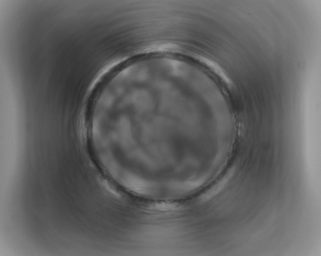 X0000111381117200907311048