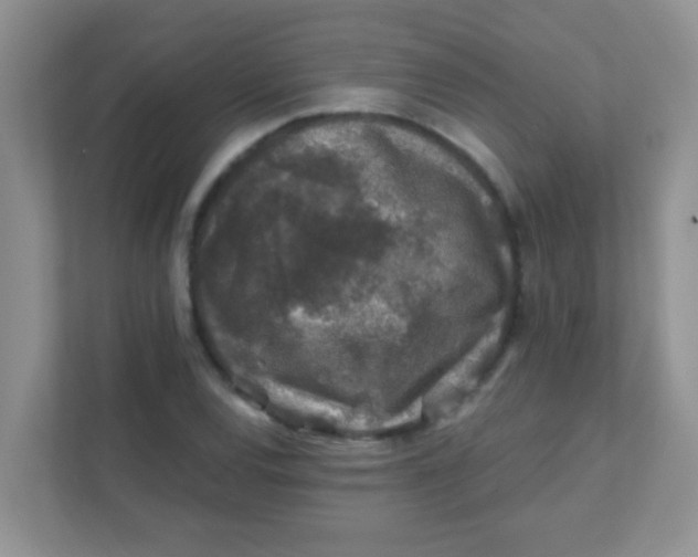 X0000111381120200907311048