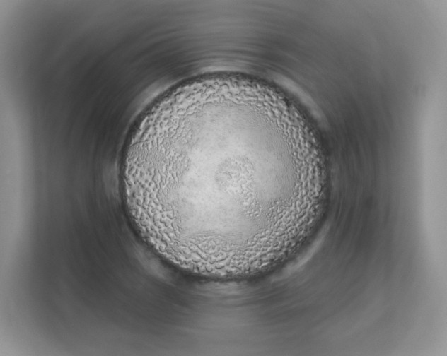 X0000111381121200907311048