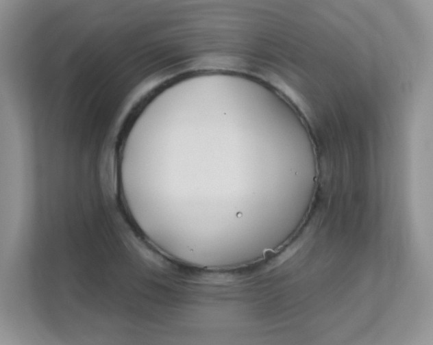 X0000111381123200907311048