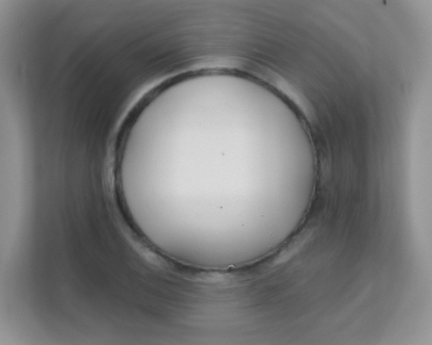 X0000111381124200907311048