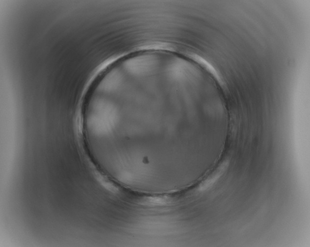 X0000111381125200907311048