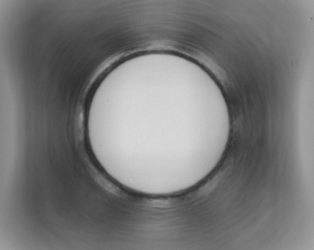 X0000111381126200907311048