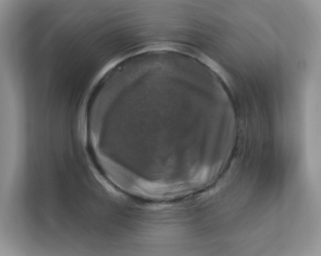 X0000111381127200907311048