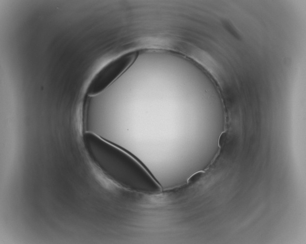 X0000111381128200907311048