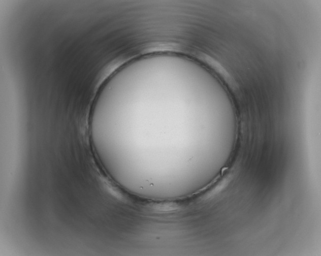 X0000111381129200907311048