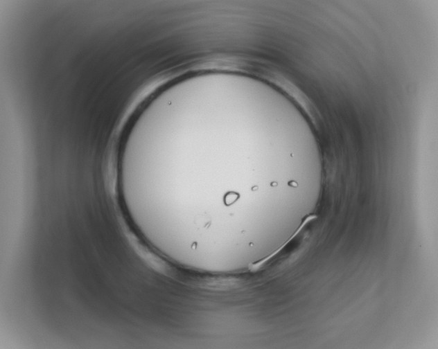 X0000111381131200907311048