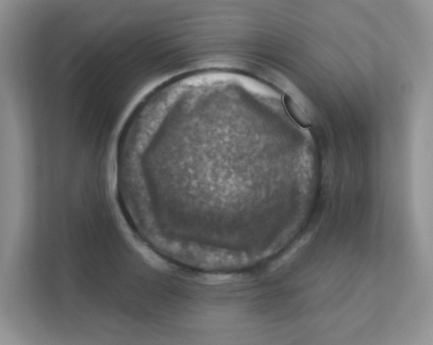 X0000111381132200907311048