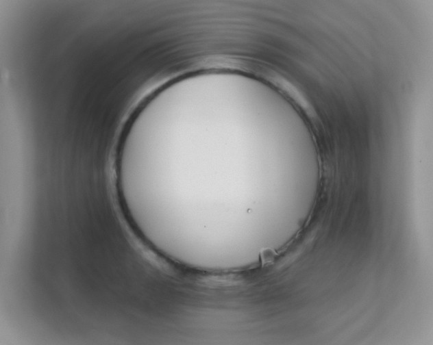 X0000111381133200907311048