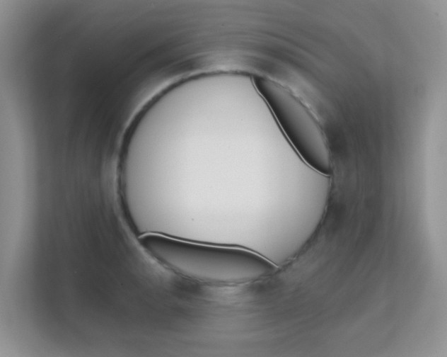 X0000111381134200907311048