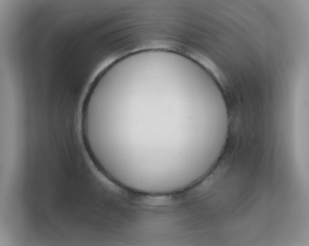 X0000111381135200907311048