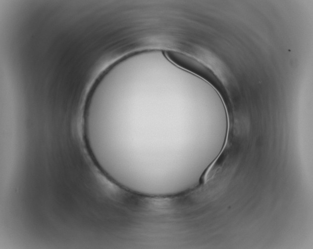 X0000111381136200907311048