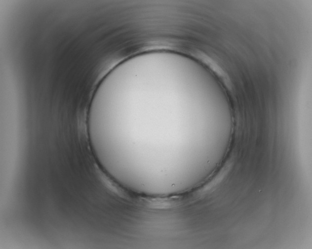 X0000111381137200907311048