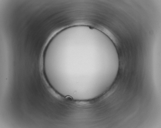 X0000111381140200907311048