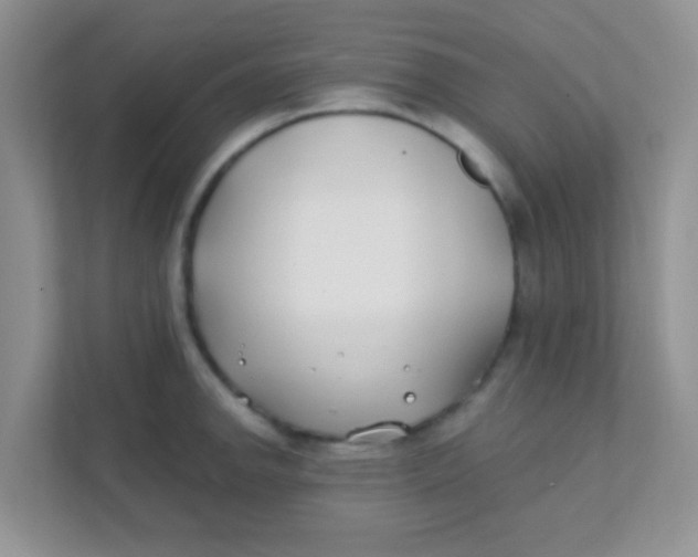 X0000111381142200907311048