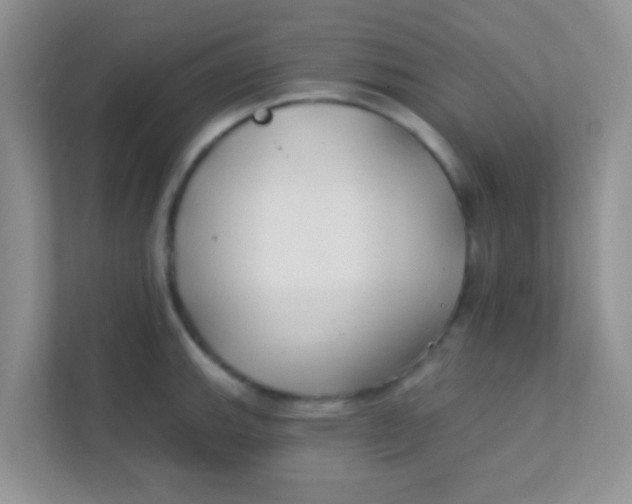 X0000111381143200907311048