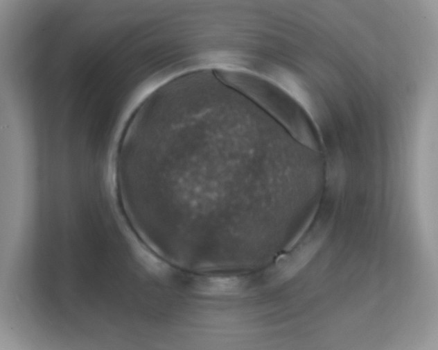 X0000111381144200907311048