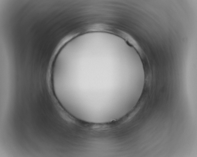 X0000111381146200907311048