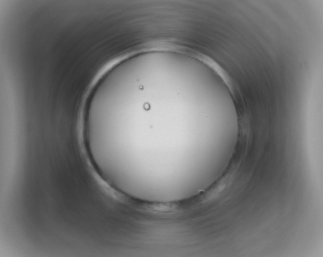 X0000111381147200907311048