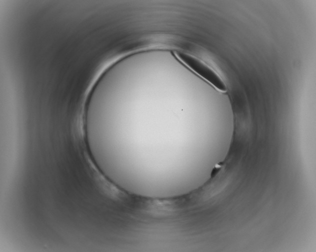 X0000111381148200907311048