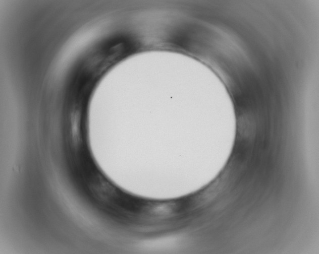 X0000111381150200907311048