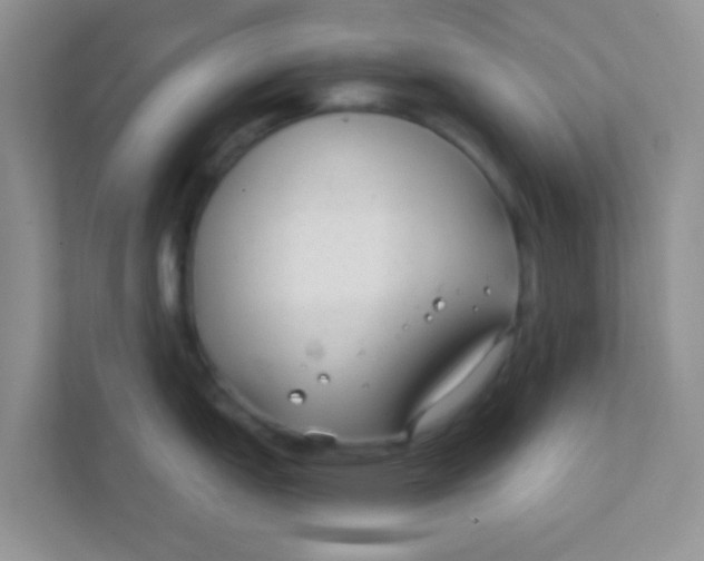 X0000111381151200907311048