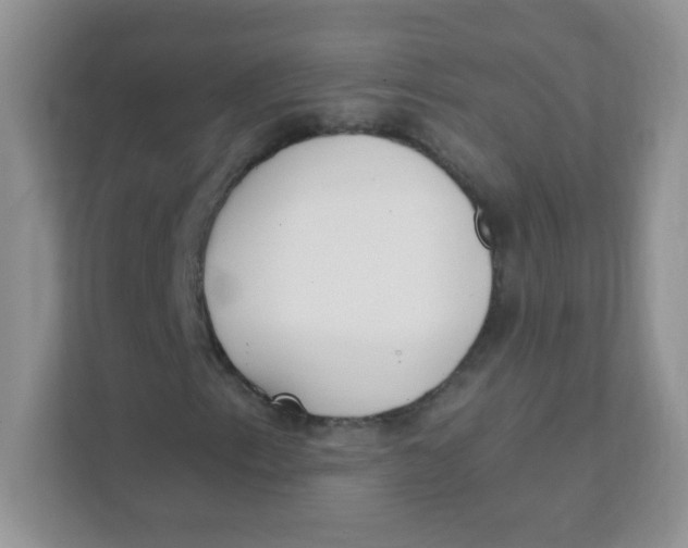 X0000111381153200907311048