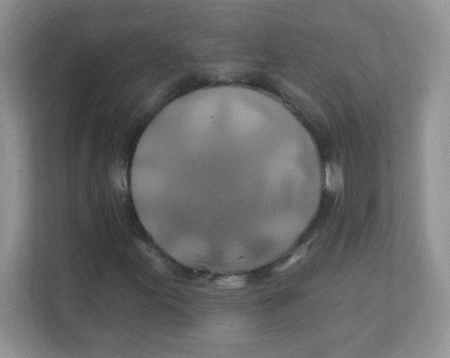 X0000111381155200907311048