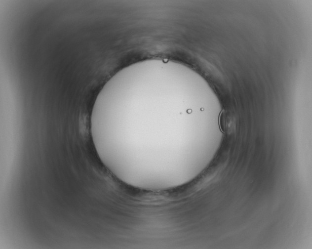 X0000111381156200907311048