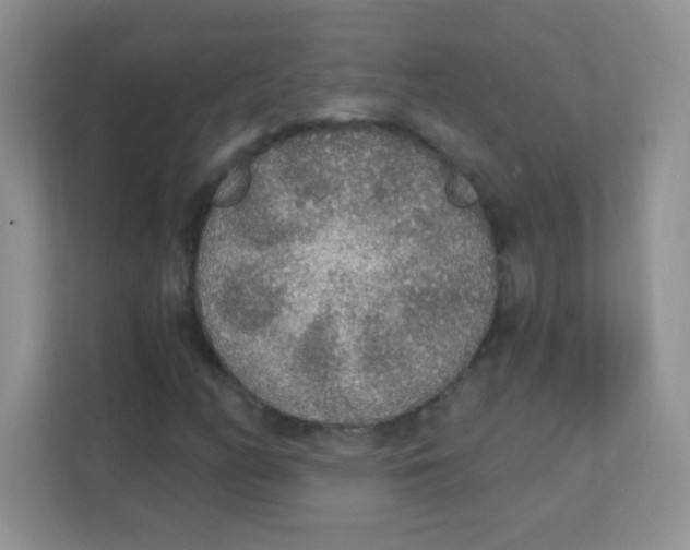 X0000111381158200907311048