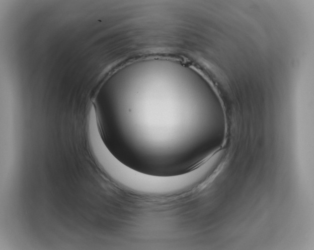 X0000111381161200907311048